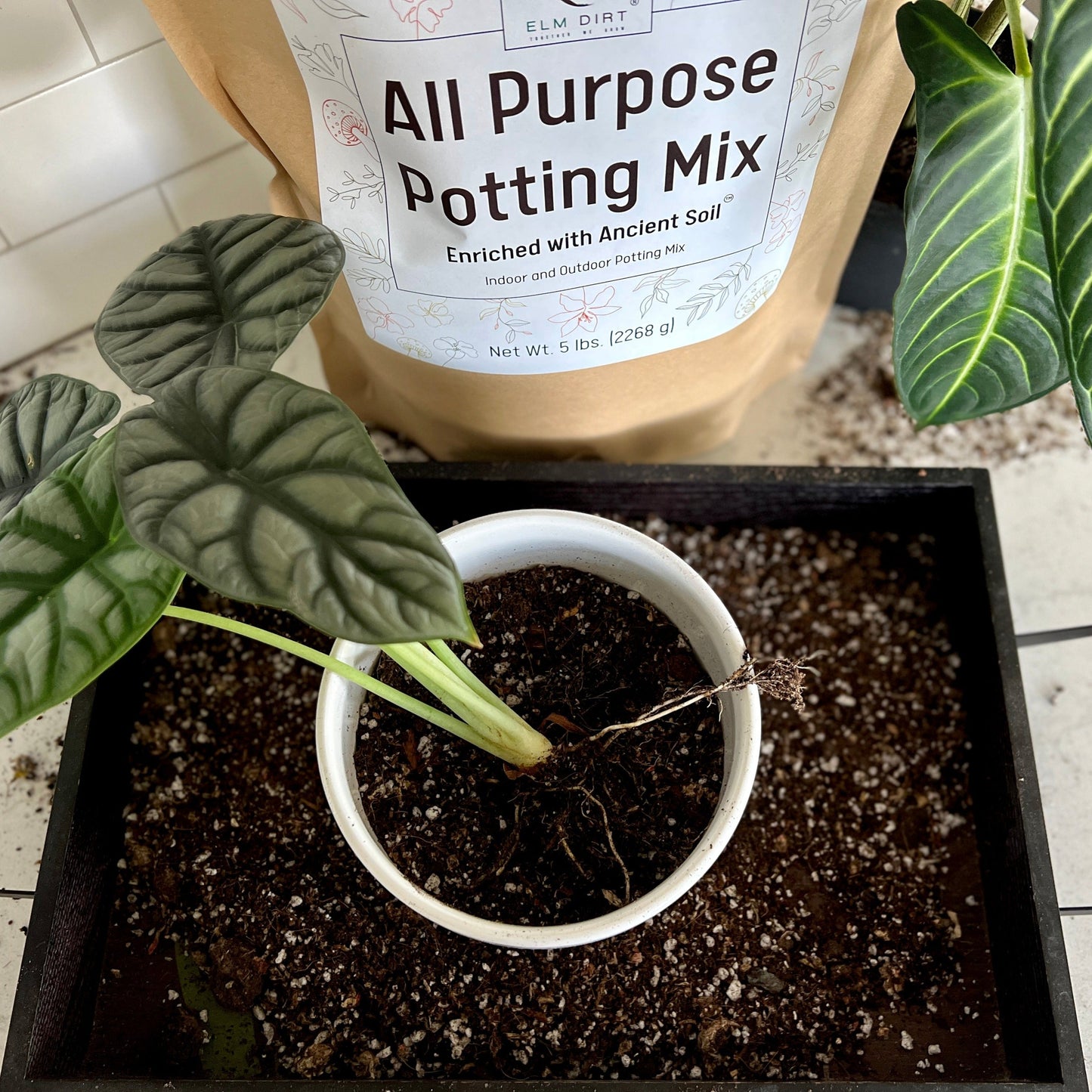 All-Purpose Soil Mix by Elm Dirt