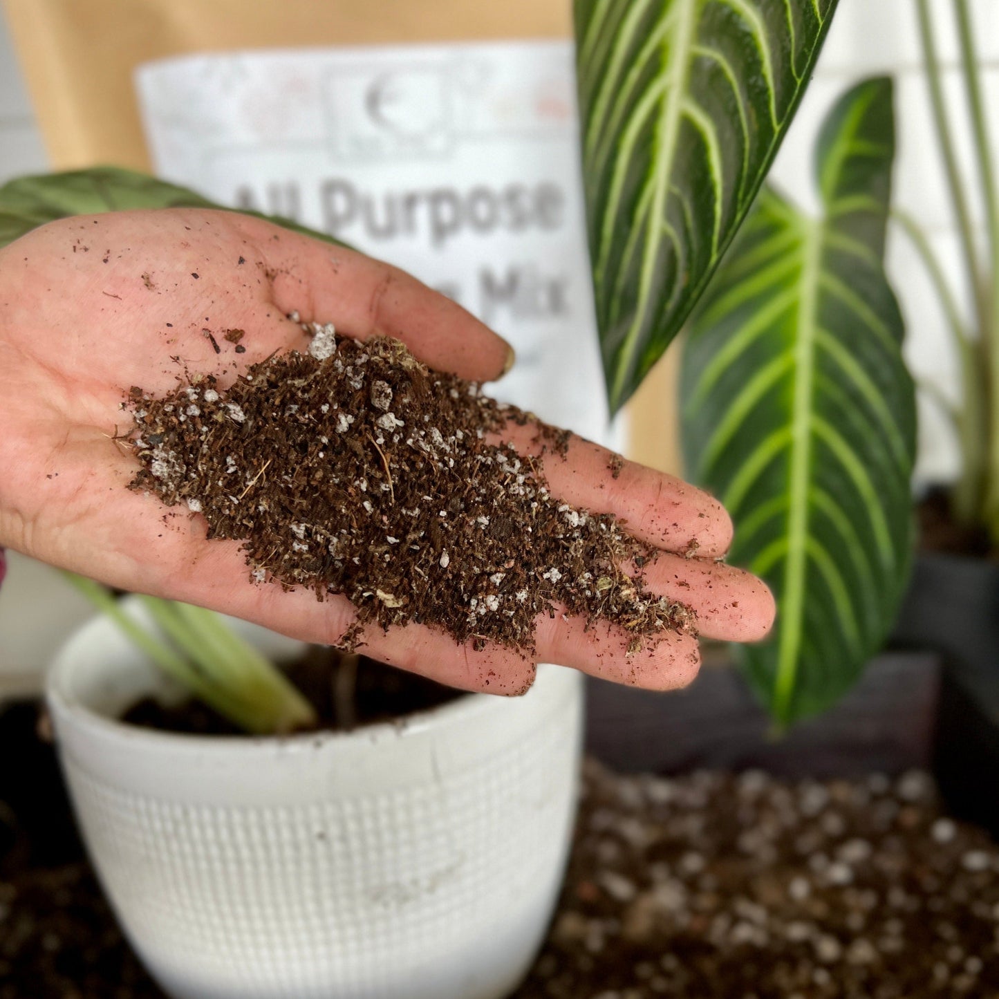 All-Purpose Soil Mix by Elm Dirt