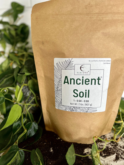 Ancient Soil by Elm Dirt