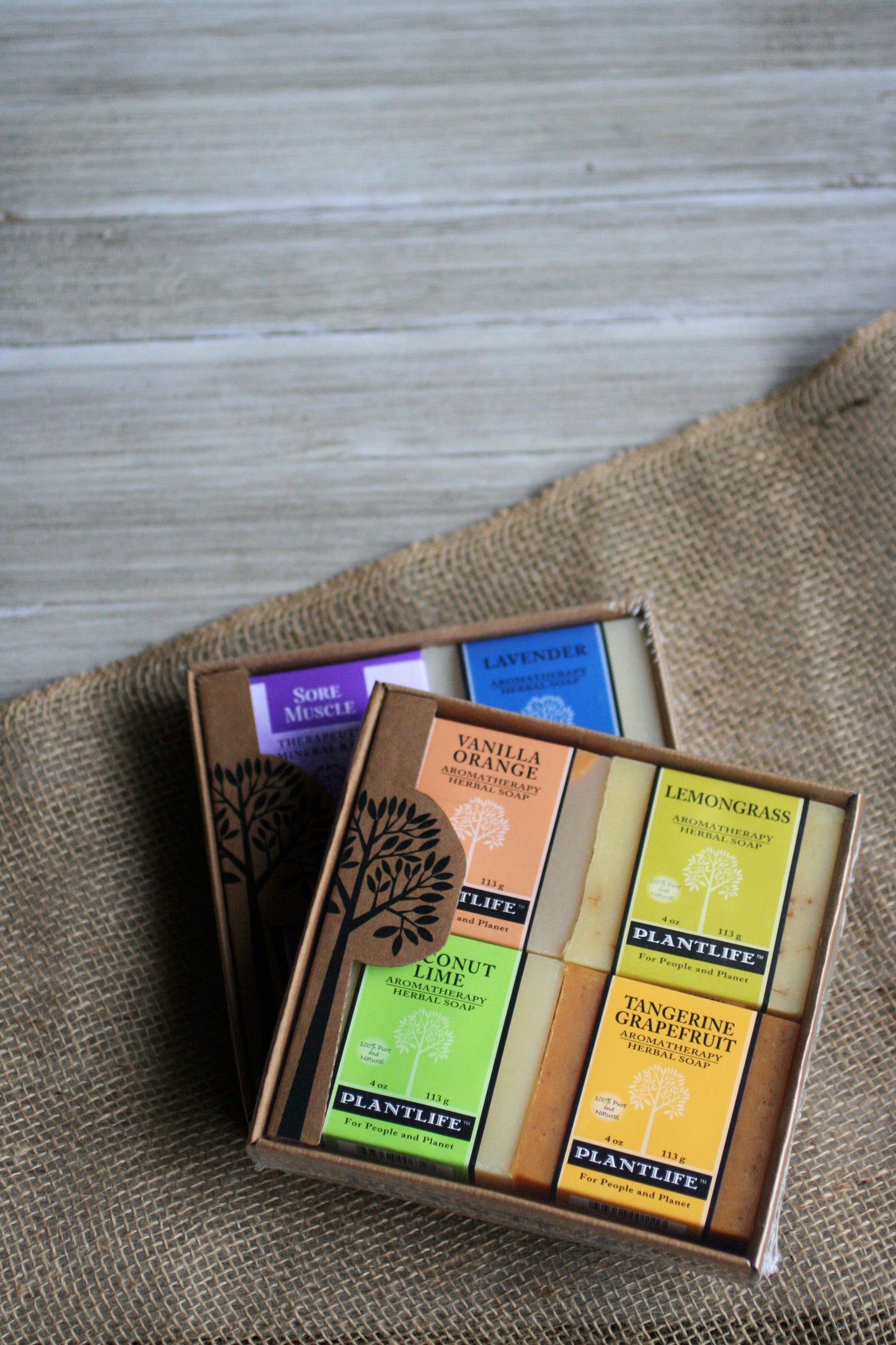 Soap Combo 4 Pack - Fruit