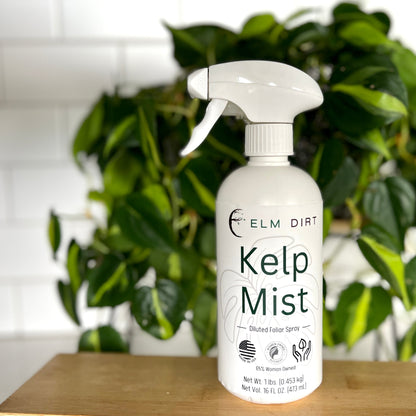 Kelp Mist by Elm Dirt