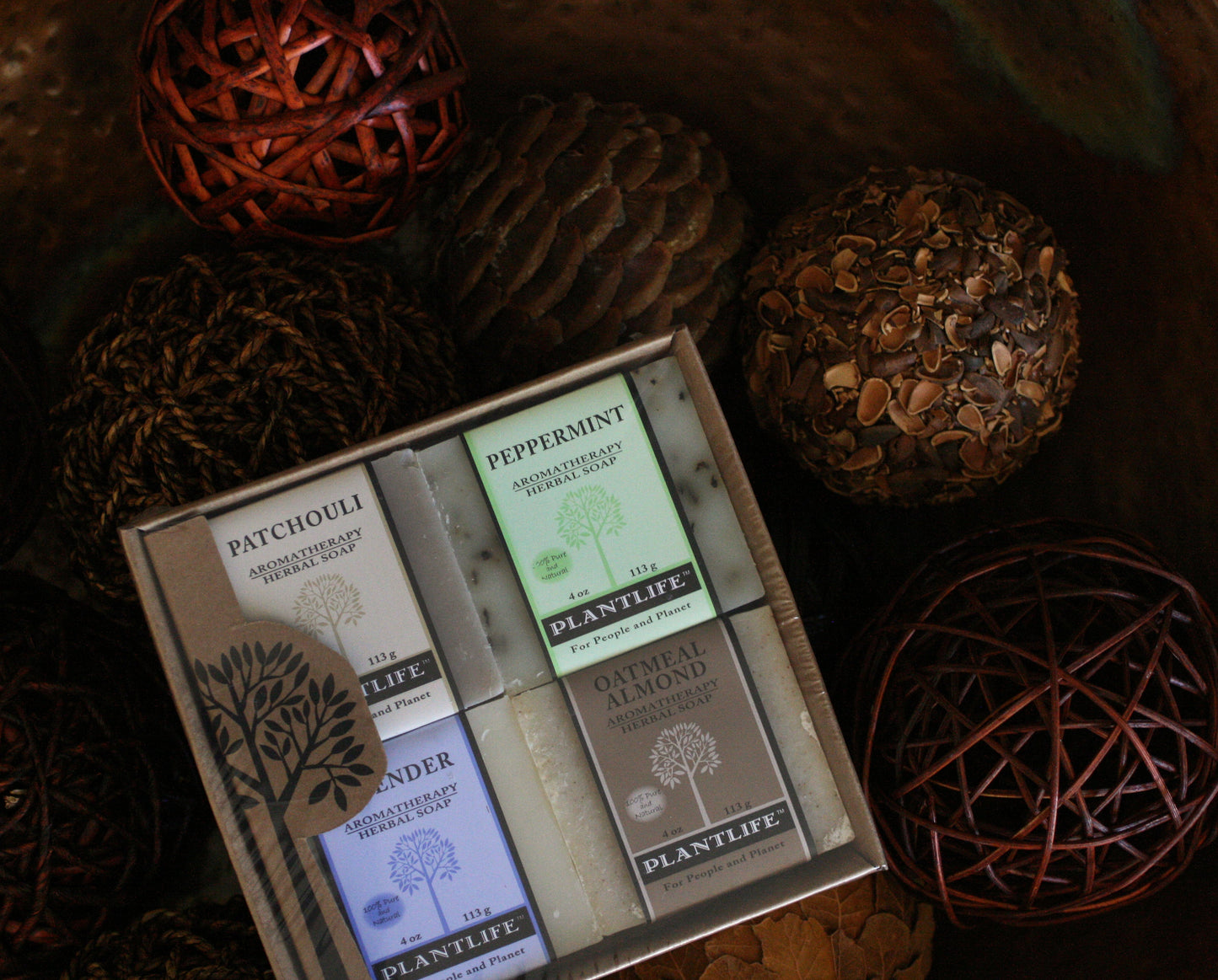 Soap Combo 4 Pack - Earth