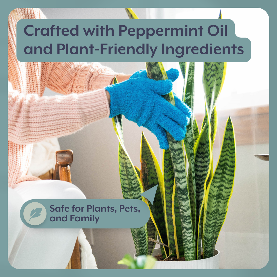 The Houseplant DEFENSE Bundle (Natural Pest Control + Gloves + Spray Bottle) by Instant Plant Food