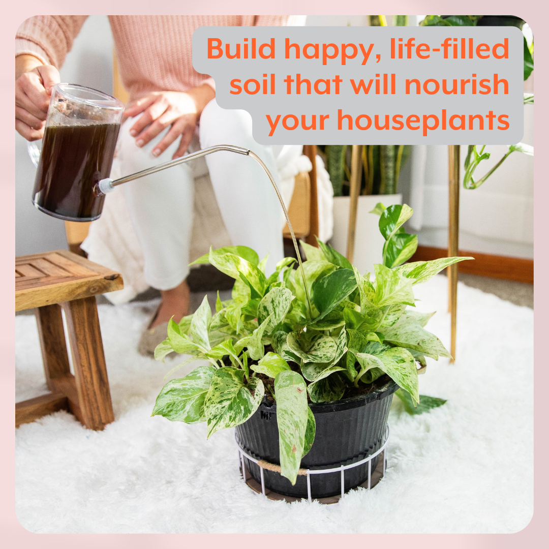 The Houseplant GROW Bundle (Plant Food + ProBiotics + Watering Can) by Instant Plant Food