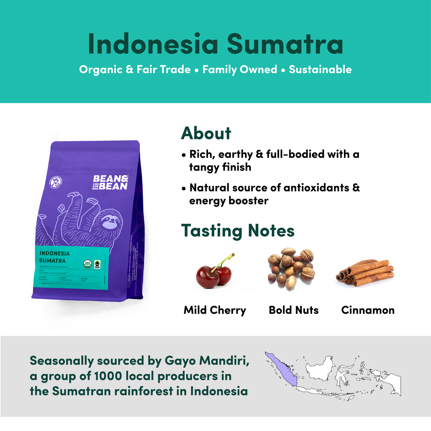 Indonesia Sumatra Coffee by Bean & Bean Coffee Roasters