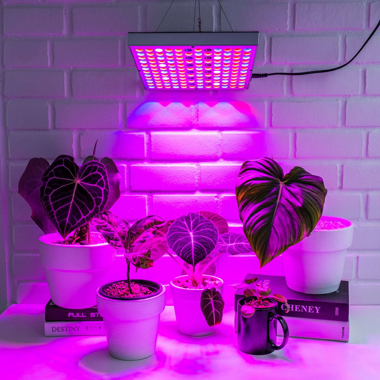 Brite Labs - Gaze Grow Light