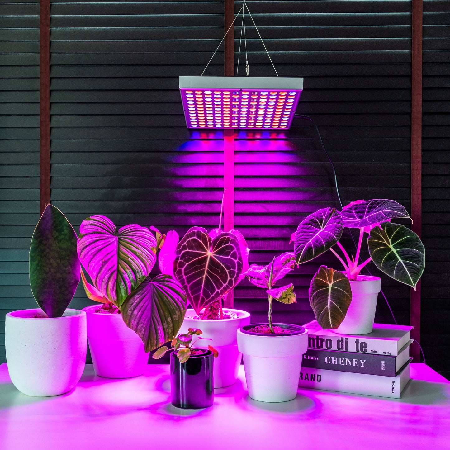 Brite Labs - Gaze Grow Light