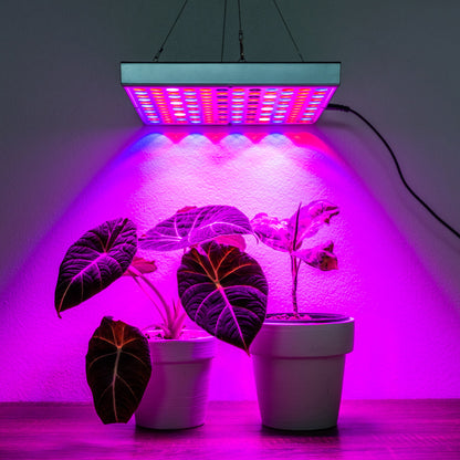 Brite Labs - Gaze Grow Light