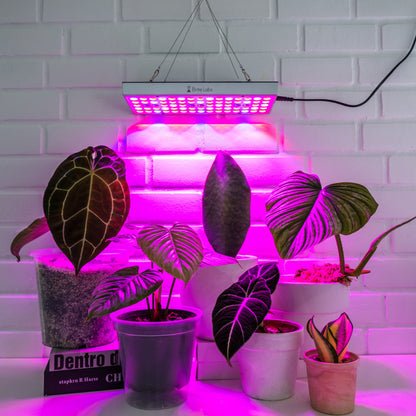 Brite Labs - Gaze Grow Light