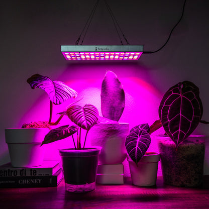 Brite Labs - Gaze Grow Light