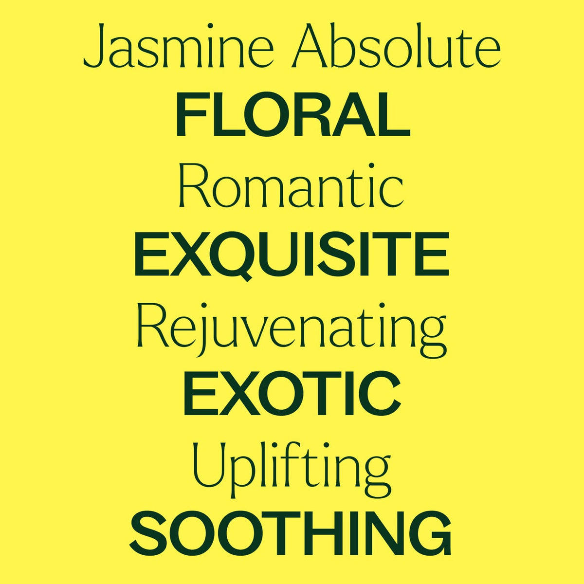 Jasmine Absolute Pre-Diluted Roll-On