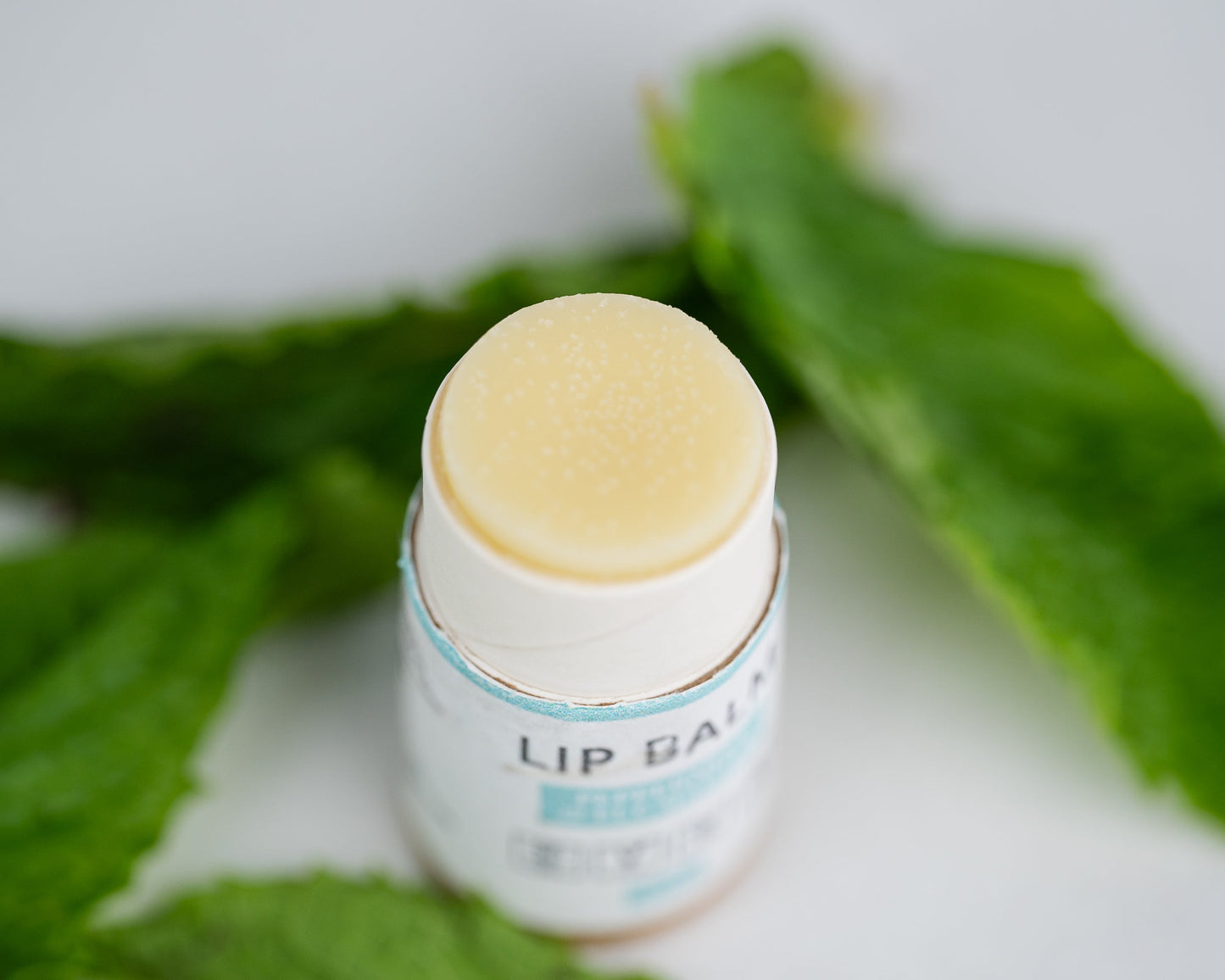 Lip Balm Bundle (5-Pack)