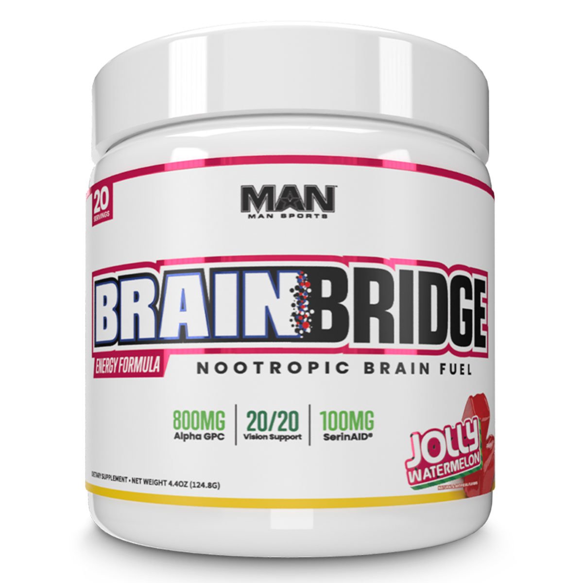 Brain Bridge