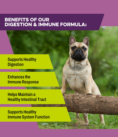 Digestion / Immune Dog Supplement - includes Probiotics, Prebiotics, & Postbiotics