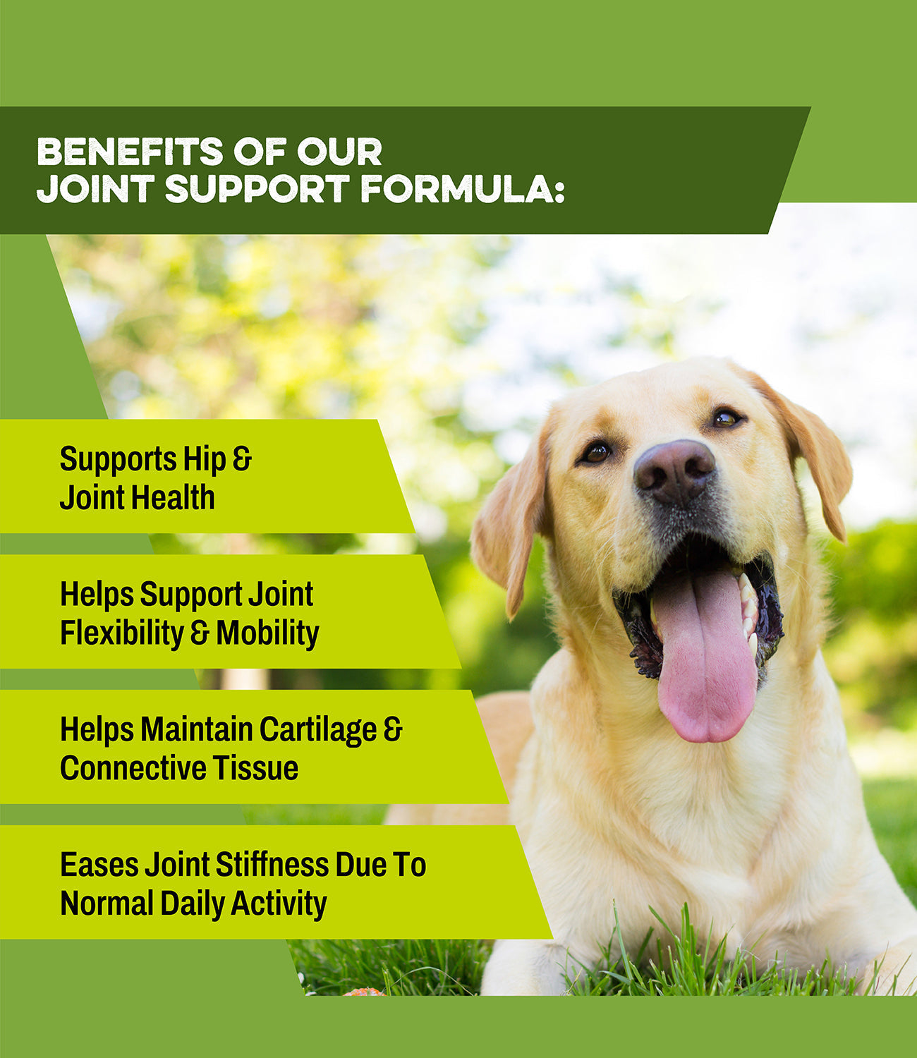 Premium Joint & Bone Dog Supplement