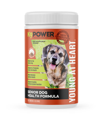 Premium Senior Dog Supplement