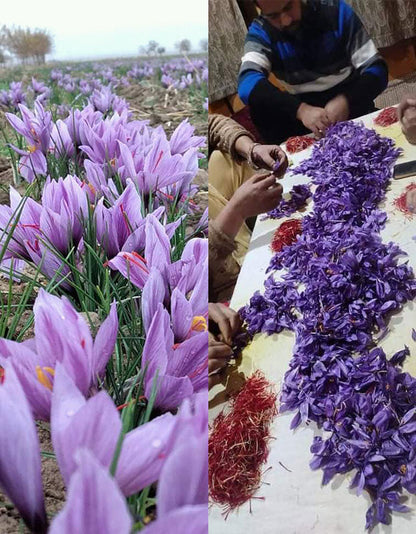 Kashmiri Saffron, Certified Organic - 2g Glass Bottle