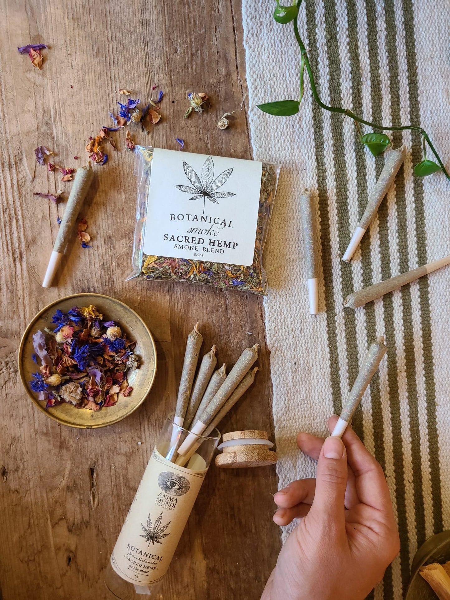 SACRED HEMP Rolls | Organic, Relaxing + Euphoric