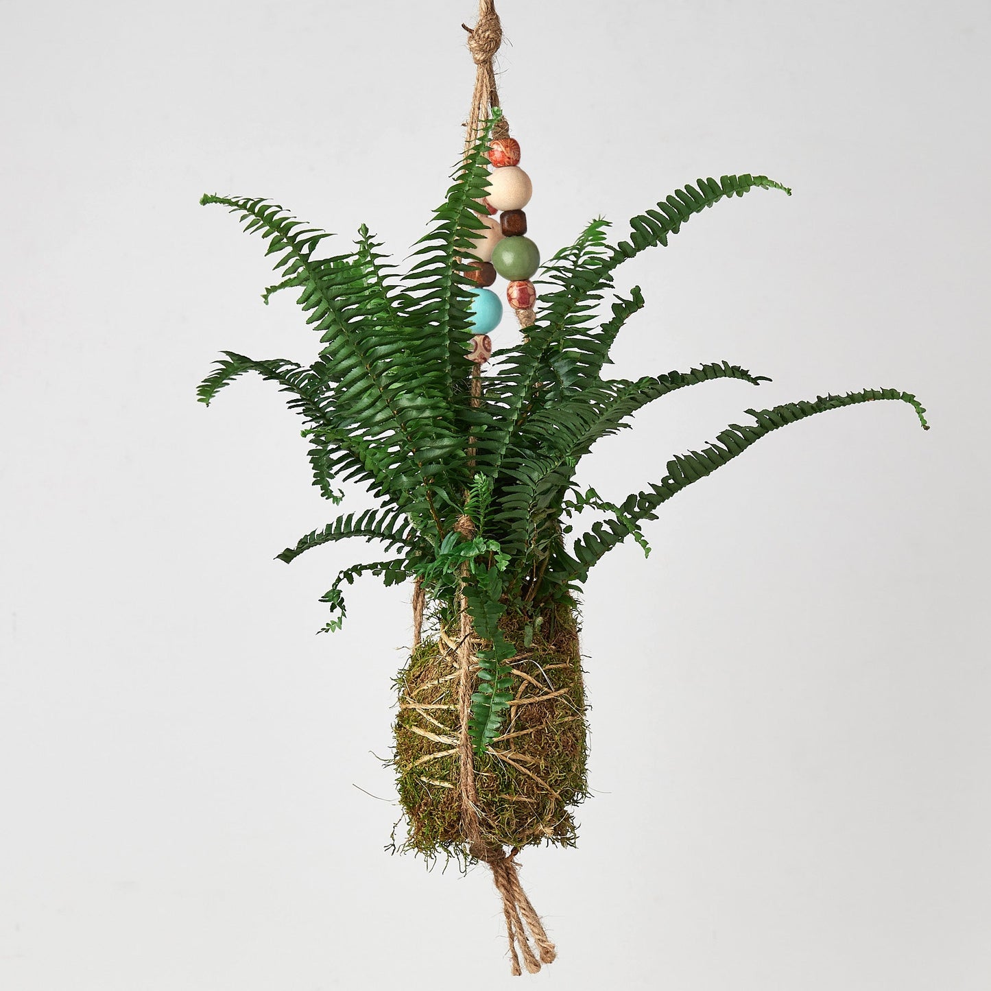 Bead Kokedama Moss Ball Hanging Plant