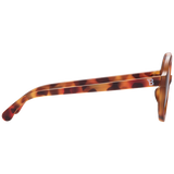 Totally Tortoise Euro Round