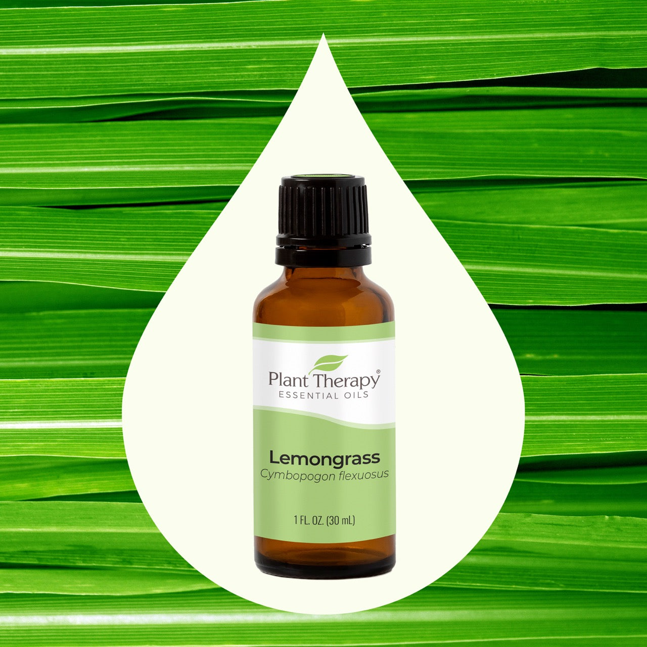 Lemongrass Essential Oil