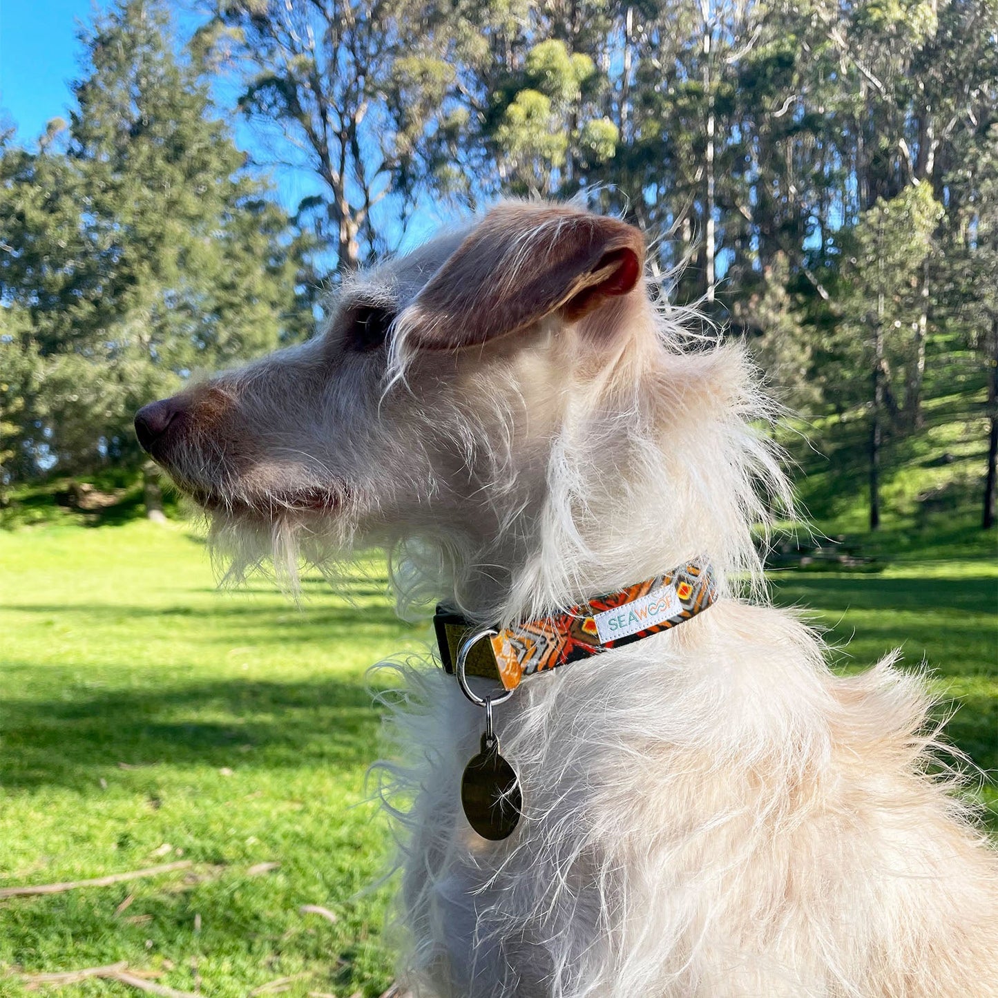 Seawoof Dog Collar Aztec Diamond Print