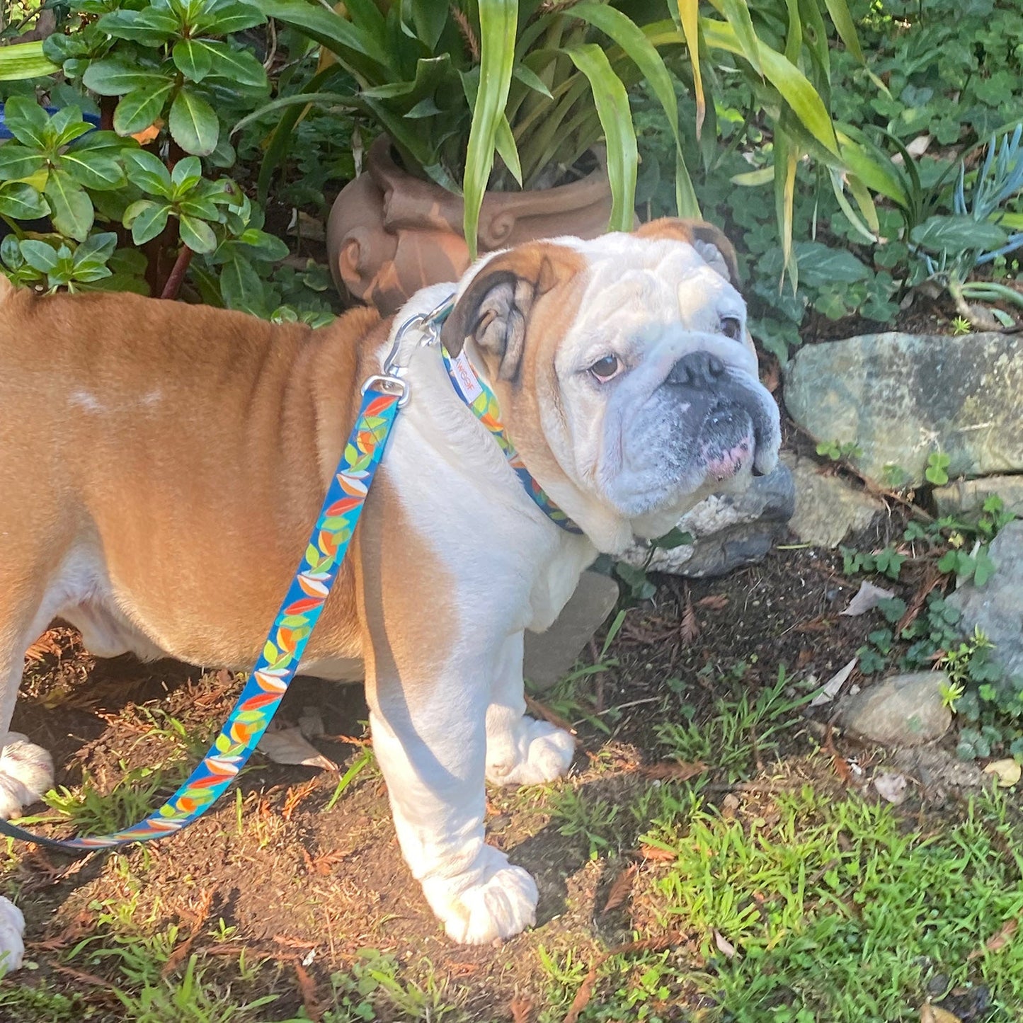 Seawoof Dog Collar Leaf Print