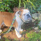 Seawoof Dog Leash Leaf Pattern