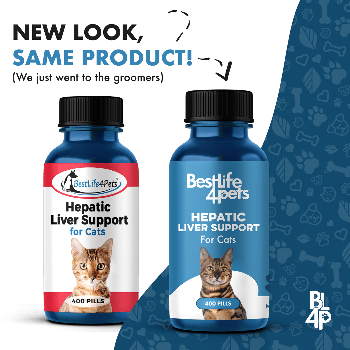 Natural Hepatic Liver Support for Cats by BestLife4Pets