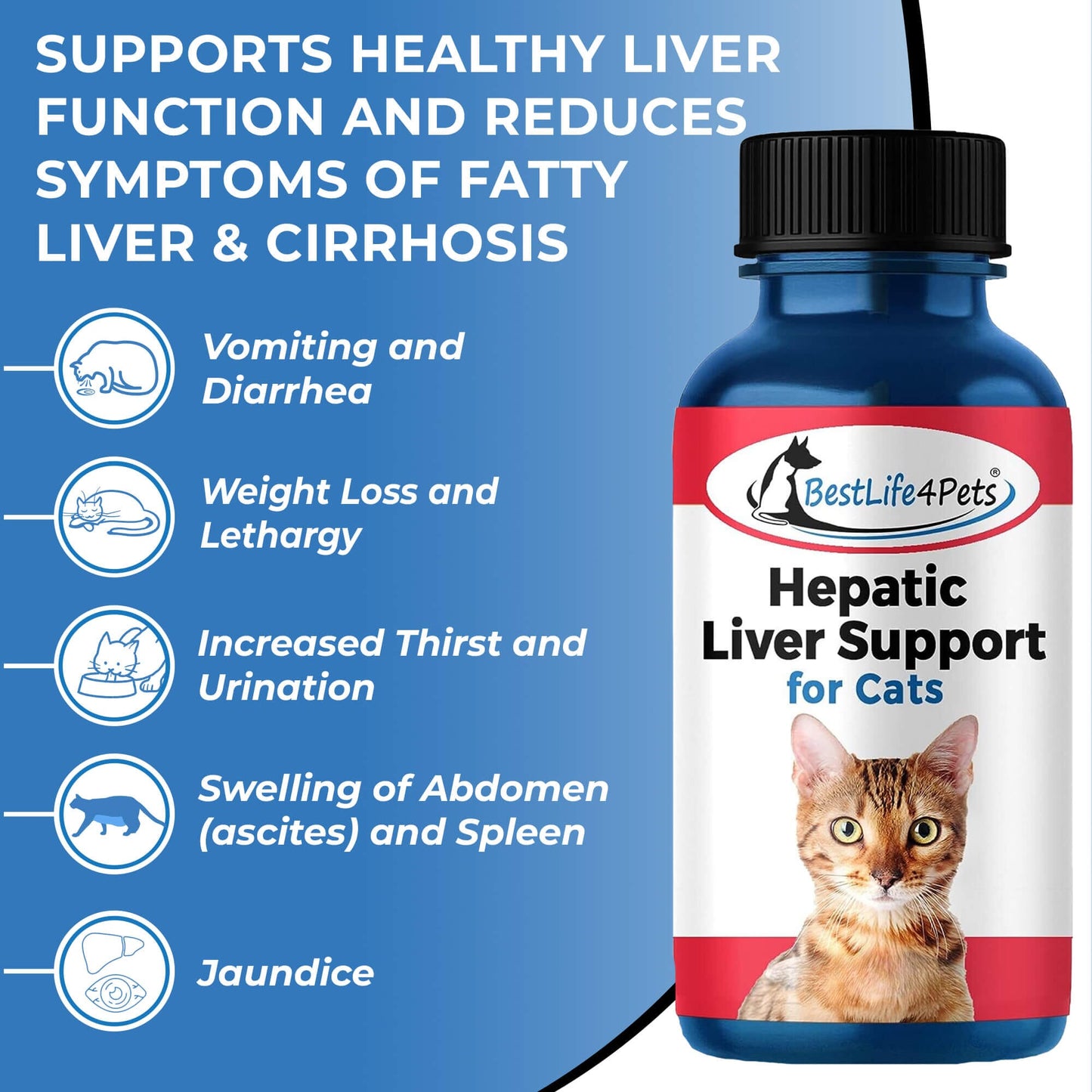 Natural Hepatic Liver Support for Cats by BestLife4Pets