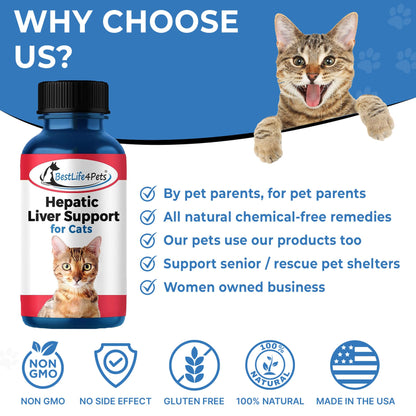 Natural Hepatic Liver Support for Cats by BestLife4Pets