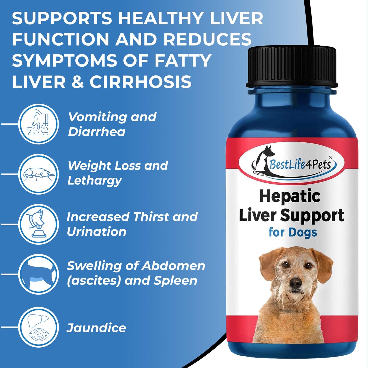 Natural Hepatic Dog Liver Support Tablets by BestLife4Pets