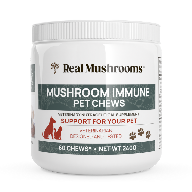 Mushroom Immune Pet Chews by Real Mushrooms