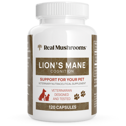 Organic Lions Mane Extract Capsules for Pets by Real Mushrooms