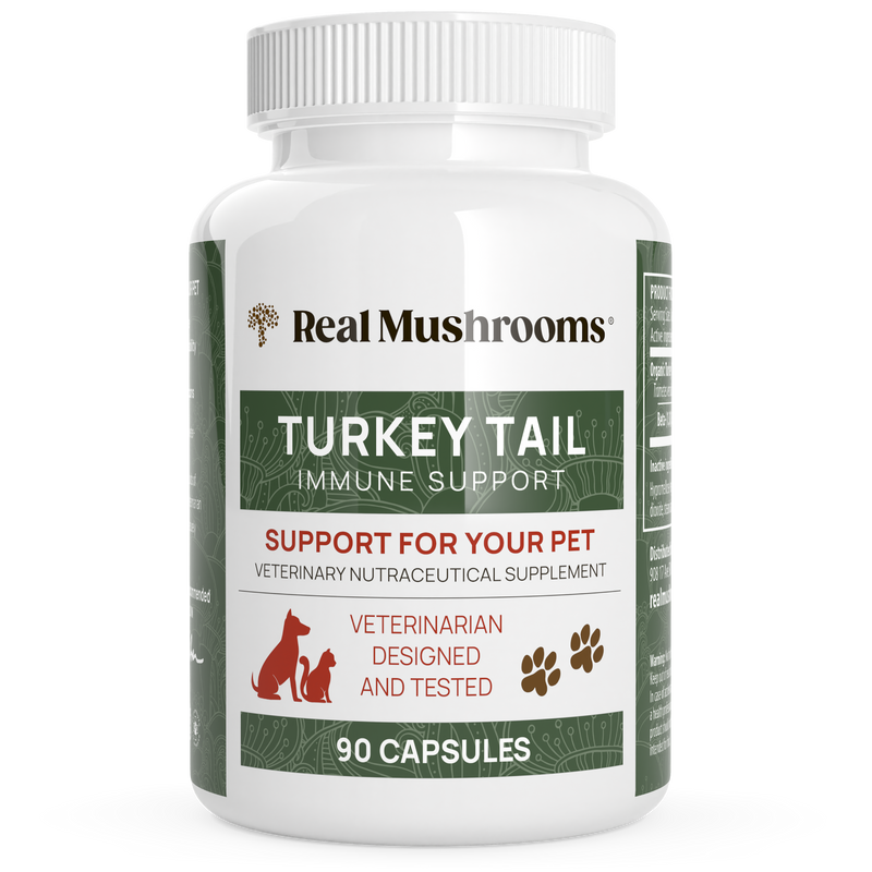 Turkey Tail Extract Capsules for Pets by Real Mushrooms
