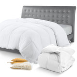 Cheer Collection Natural Kapok Fiber Luxury Comforter