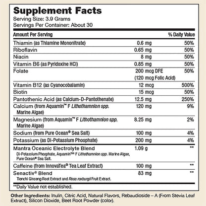 Go The Pre-Workout Energy Booster Supplement