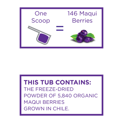 Organic Maqui Berry Powder