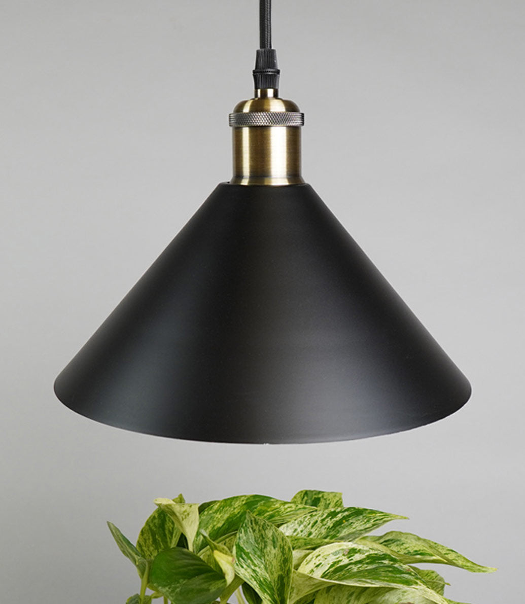 Modern Pendant and Socket