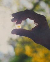 Chill Mushroom Gummy Delights