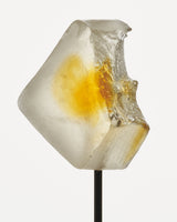 Focus Mushroom Gummy Delights