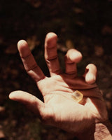 Sleep Mushroom Gummy Delights