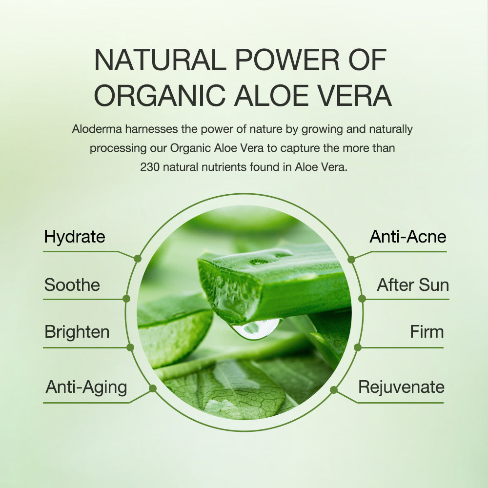 Aloe Soothing & Moisturizing Cream