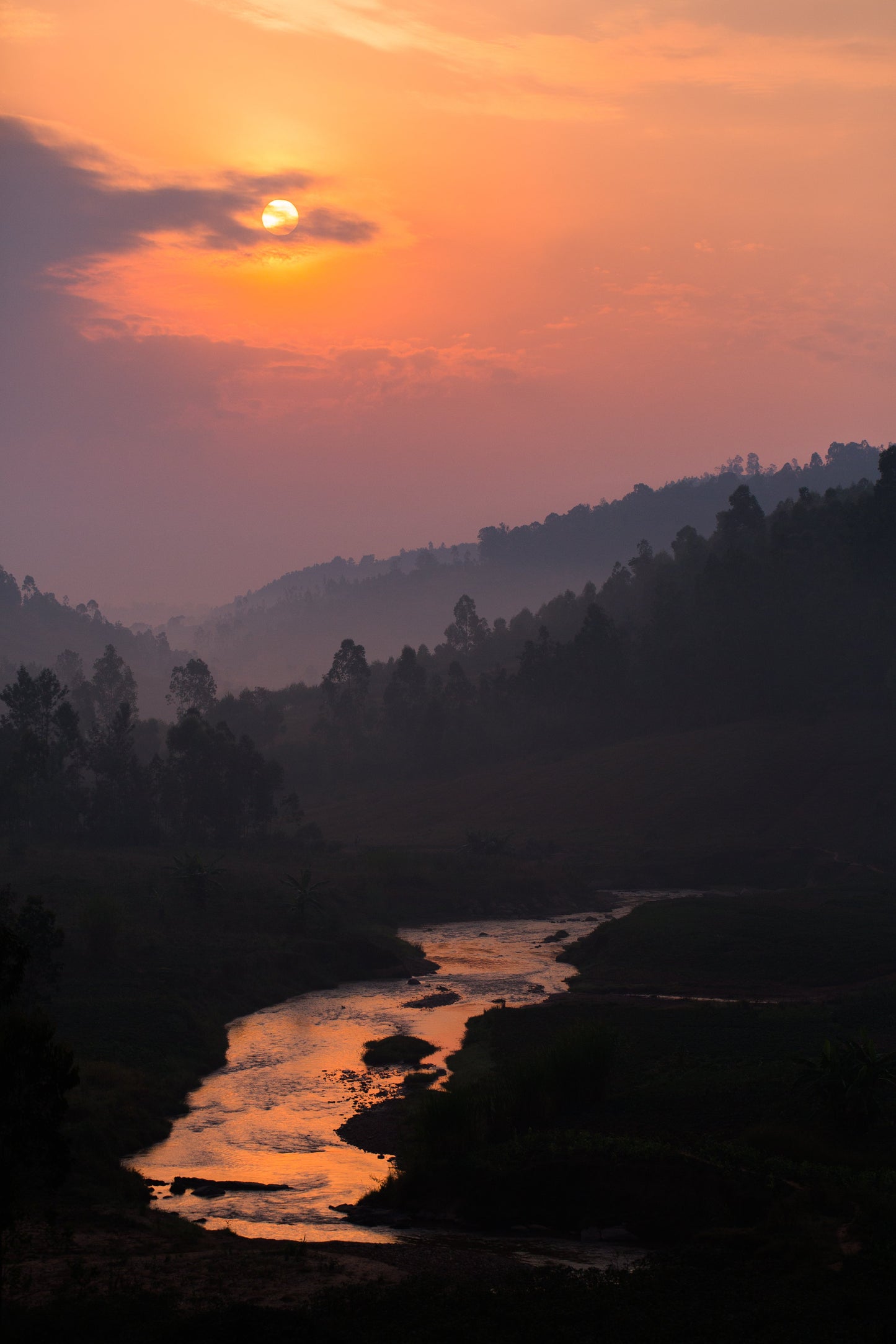 Bumba Hill | Burundi | Honey