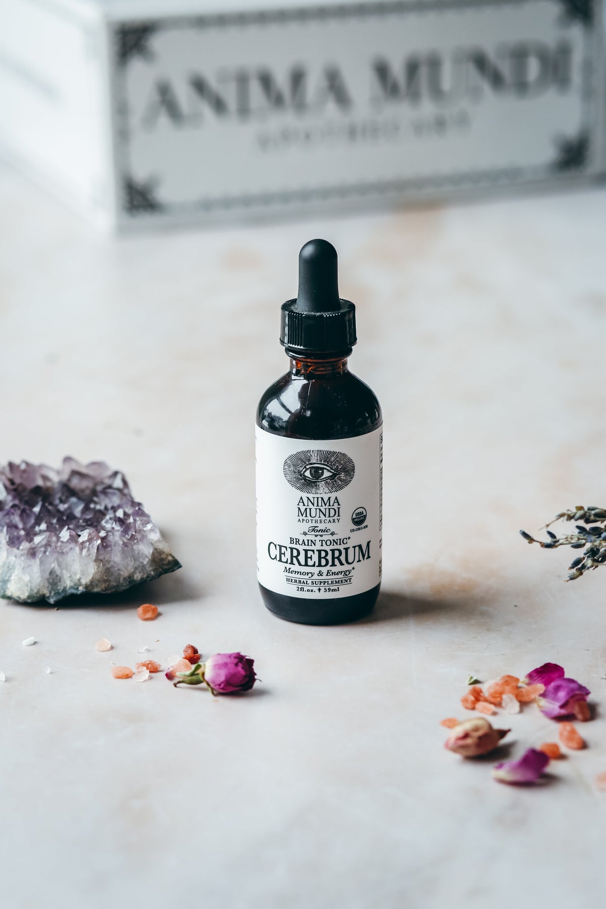 CEREBRUM Tonic | Memory + Energy