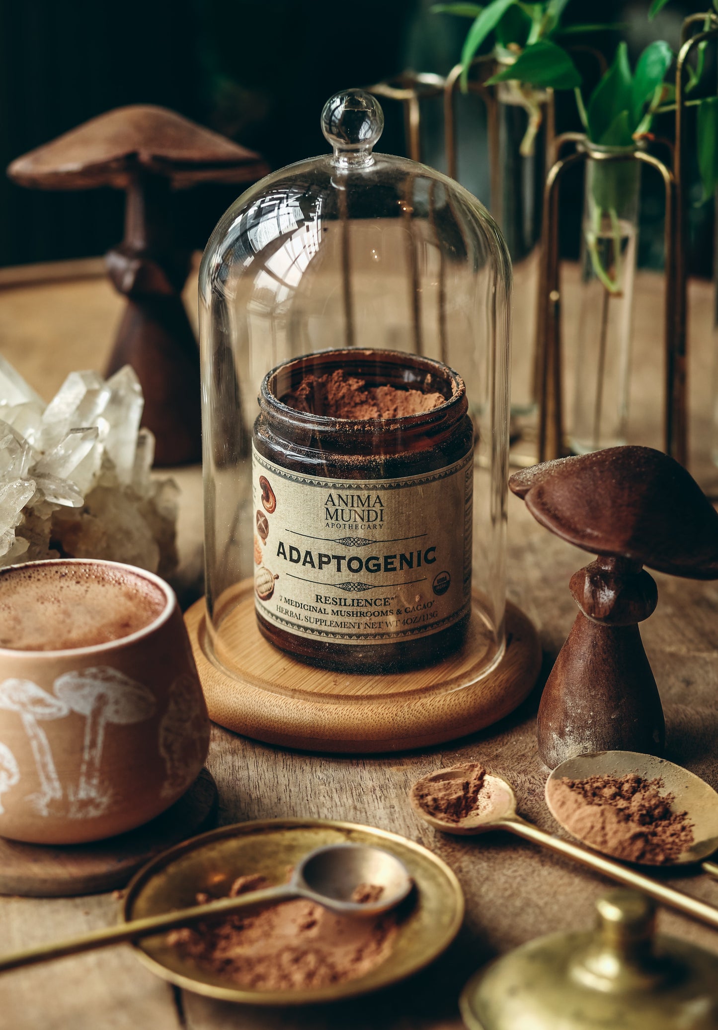 ADAPTOGENIC Powder | 7 Medicinal Mushrooms + Cacao