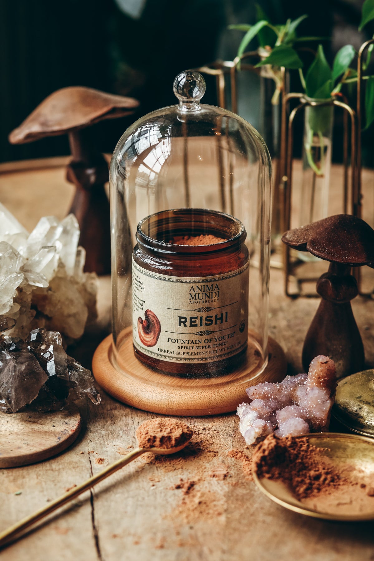 REISHI | Spirit Super-Tonic*