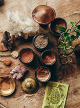 LION'S MANE | Brain Super-Tonic*