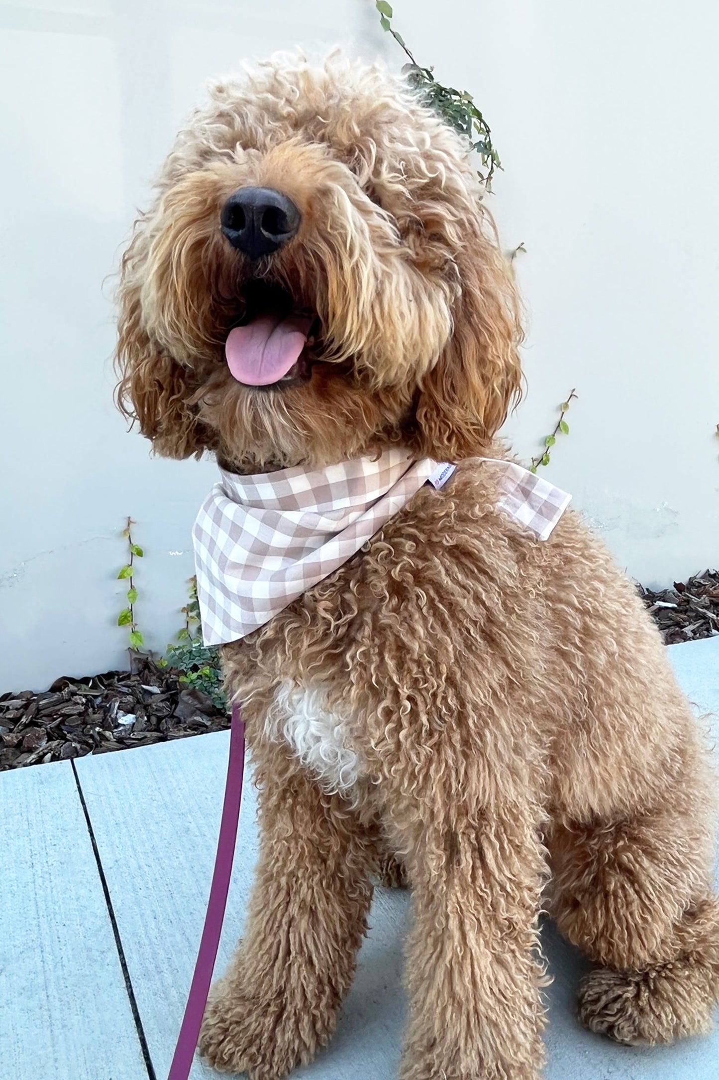 GINGHAM BANDANA by MODERNBEAST