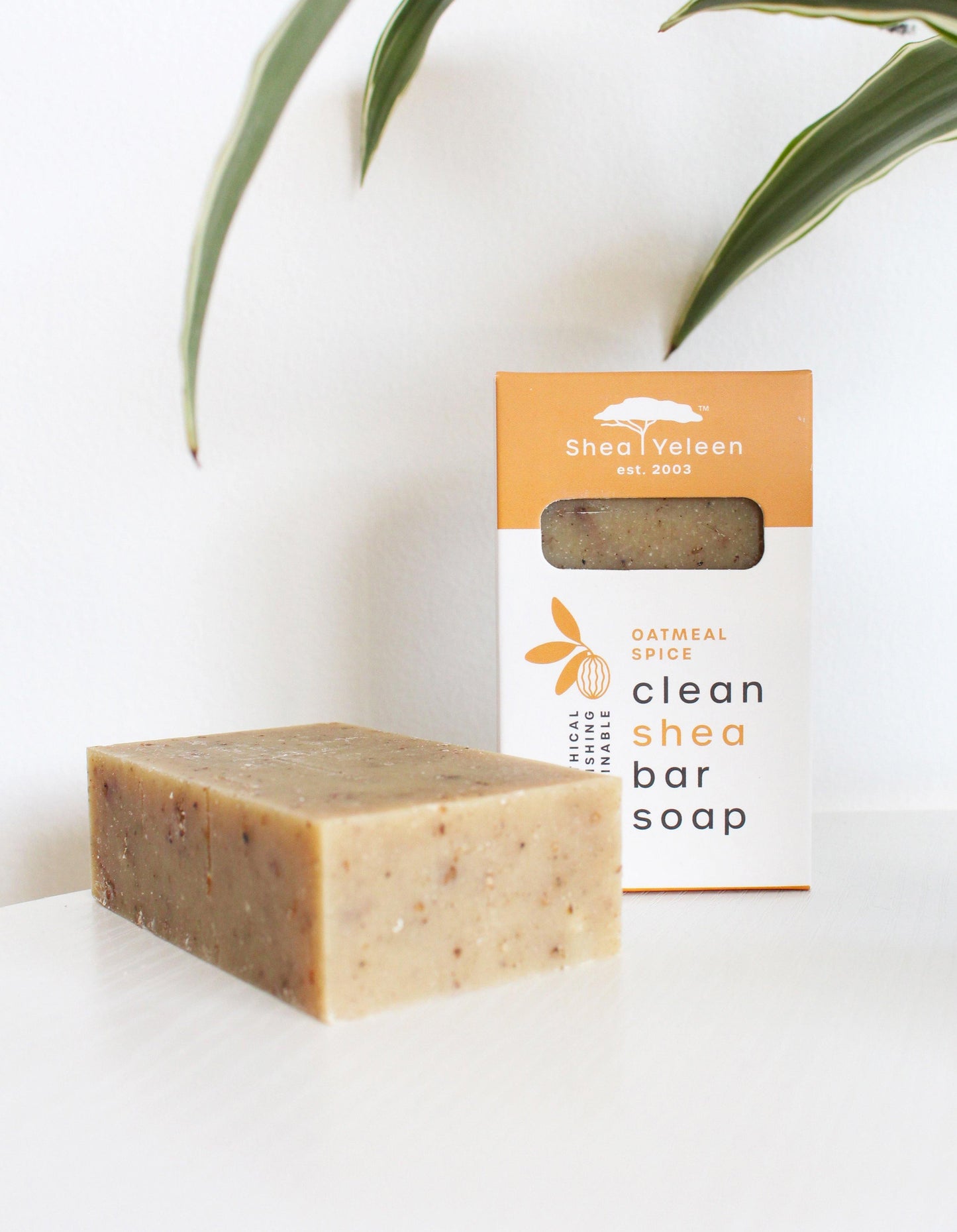 Oatmeal Spice Shea Butter Soap